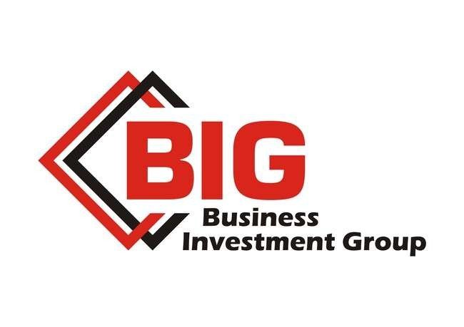 Business Investment Group Logo